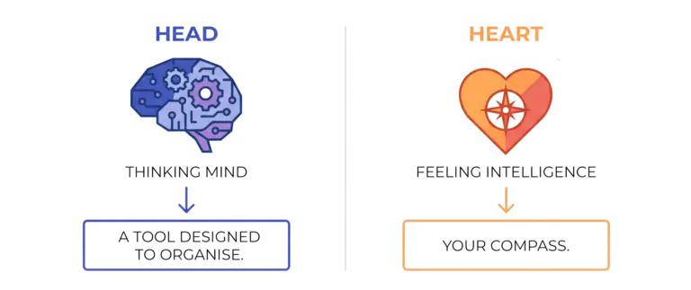 Head versus Heart infographic fr the Natural Design Method Framework